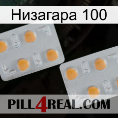 Низагара 100 25